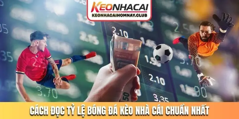 Cách đọc tỷ lệ bóng đá kèo nhà cái chuẩn nhất