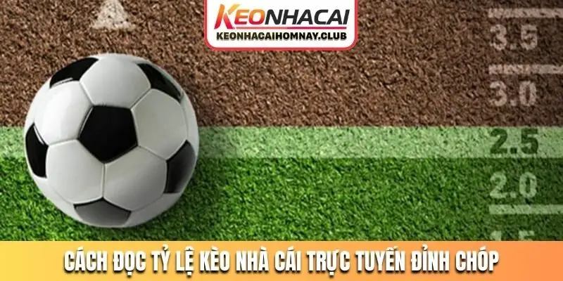 Cách đọc tỷ lệ kèo nhà cái trực tuyến đỉnh chóp