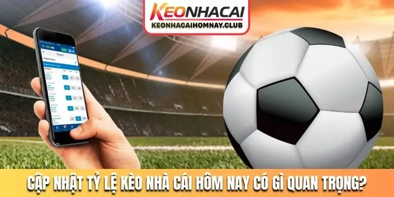 Cập nhật tỷ lệ kèo nhà cái hôm nay có gì quan trọng?