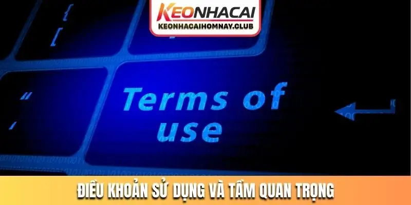 Điều khoản sử dụng và tầm quan trọng trong thời đại mới