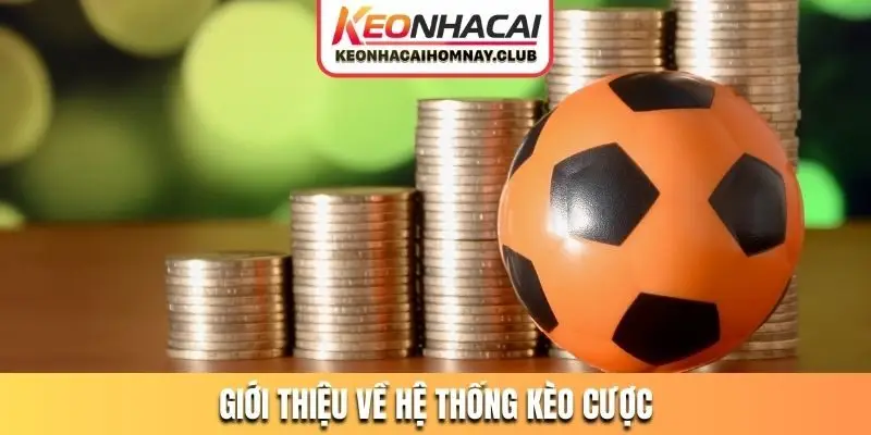 Giới thiệu về hệ thống kèo cược được yêu thích nhất tại nền tảng