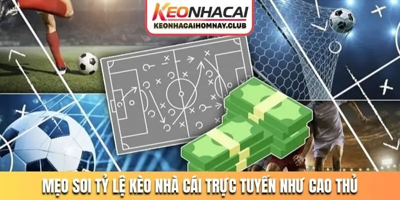 Mẹo soi tỷ lệ kèo nhà cái trực tuyến như cao thủ
