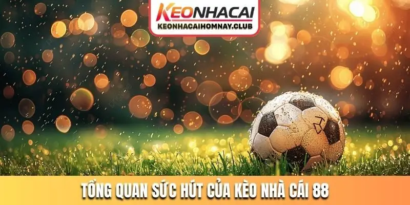 Tổng quan sức hút của kèo nhà cái 88