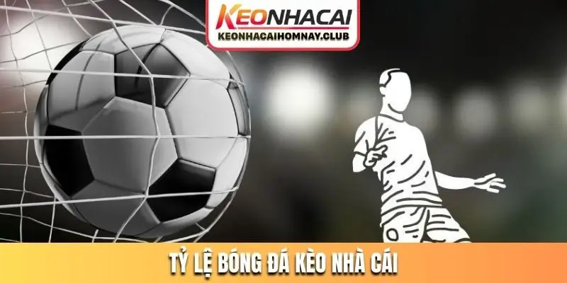 tỷ lệ bóng đá kèo nhà cái