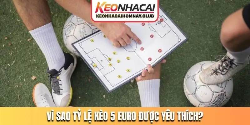 Vì sao tỷ lệ kèo 5 Euro được yêu thích?