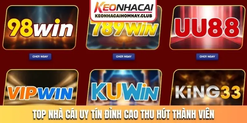 Top nhà cái uy tín đỉnh cao thu hút thành viên